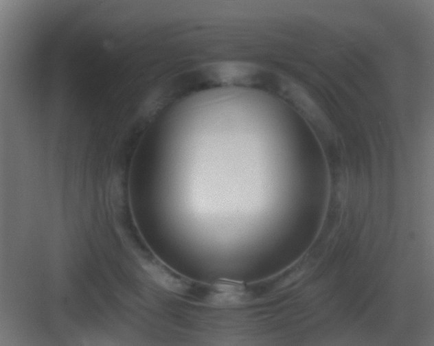 X0000083010461200702091255