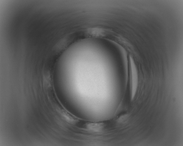 X0000083010465200702091255