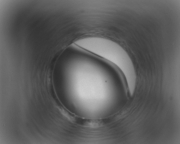 X0000083010466200702091255