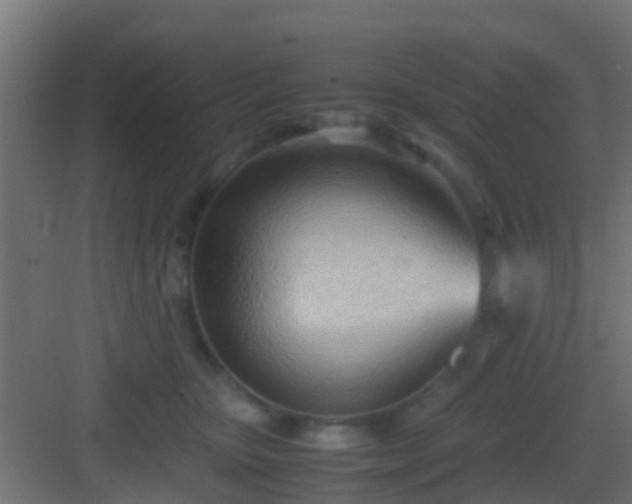 X0000083010467200702091255