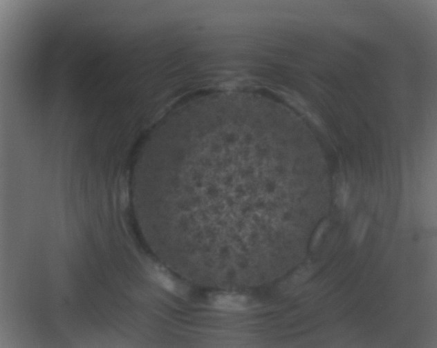 X0000083010471200702091255