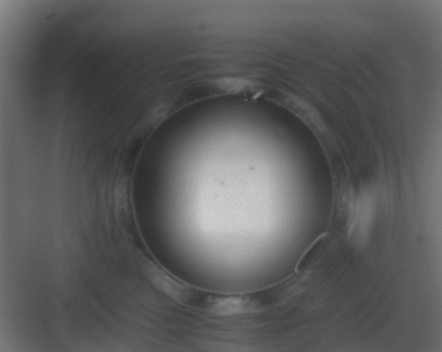 X0000083010473200702091255