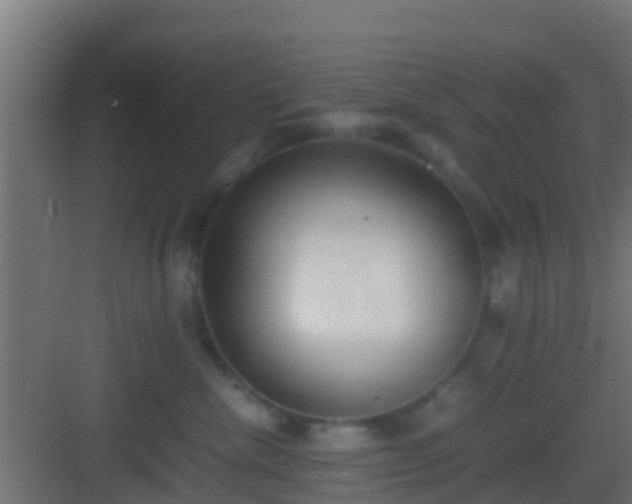 X0000083010476200702091255