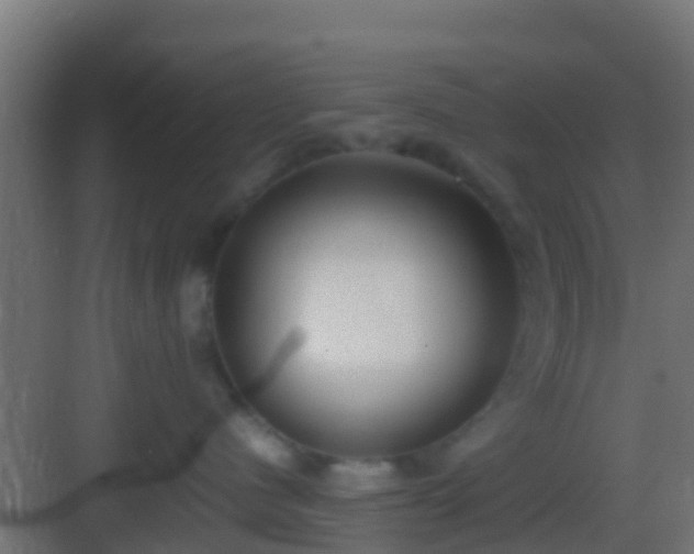 X0000083010480200702091255