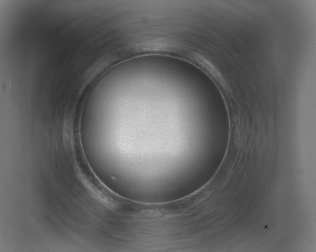 X0000083010482200702091254