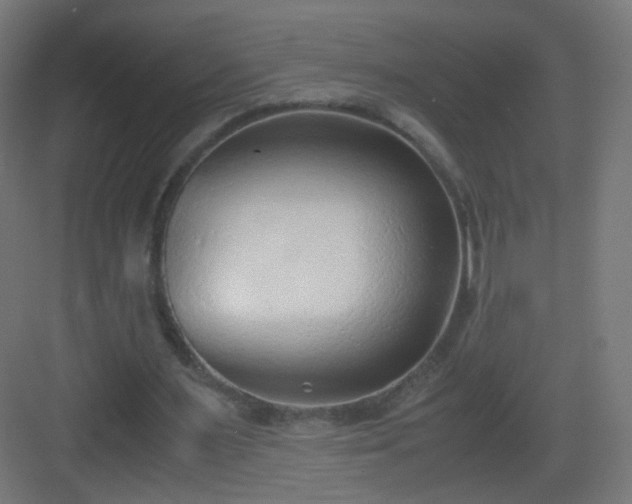 X0000083010483200702091254