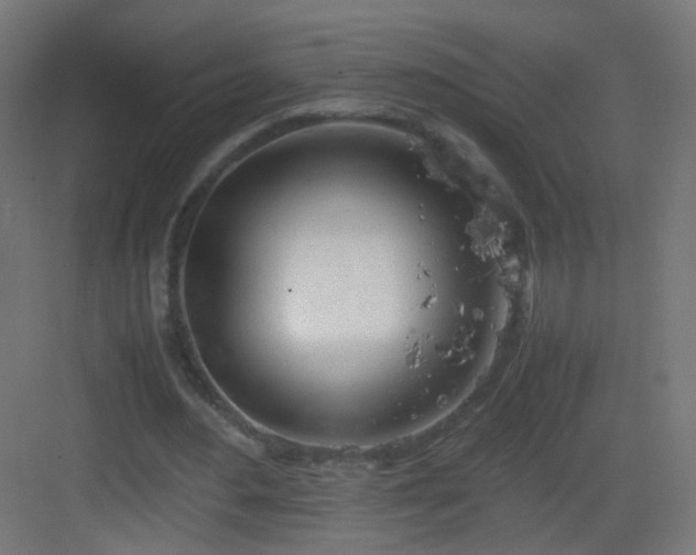 X0000083010484200702091254