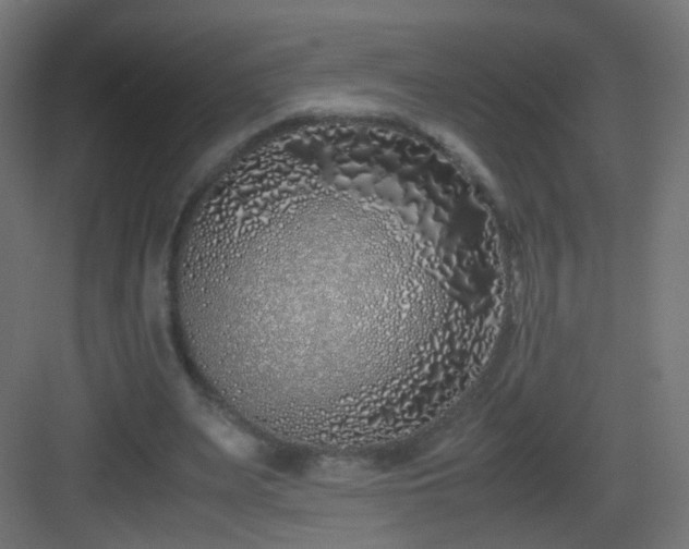 X0000083010487200702091254