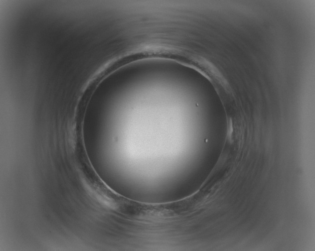 X0000083010488200702091254