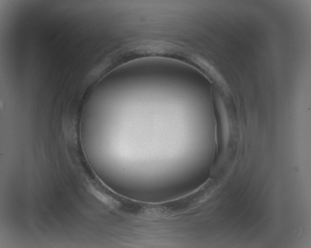 X0000083010489200702091254