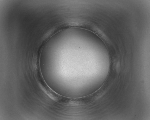 X0000083010490200702091254