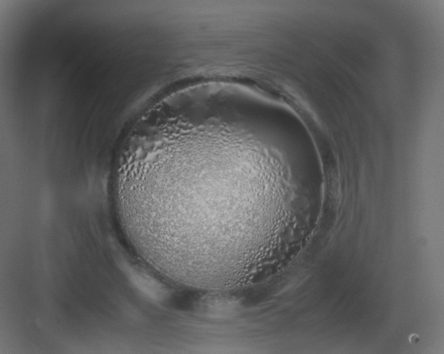 X0000083010491200702091254