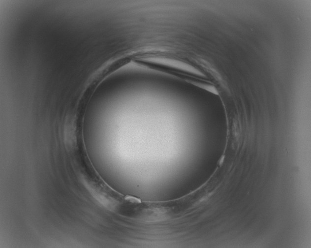 X0000083010492200702091254