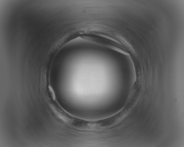 X0000083010493200702091254