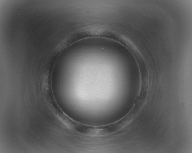 X0000083010497200702091254