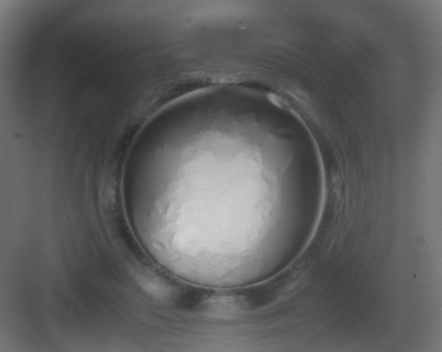 X0000083010499200702091254