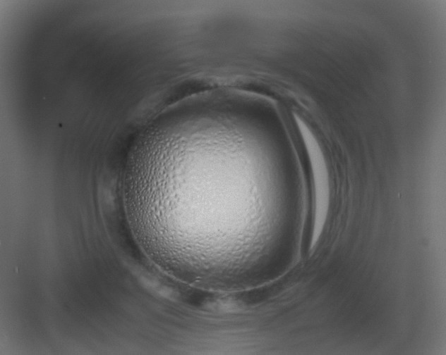 X0000083010503200702091254