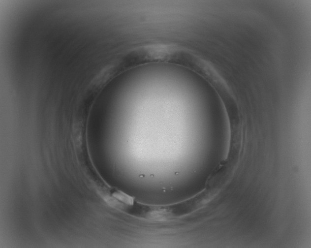 X0000083010505200702091254