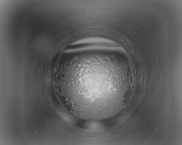 X0000083010507200702091254