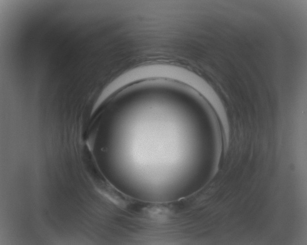 X0000083010512200702091254