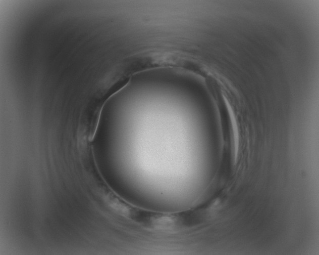 X0000083010513200702091254