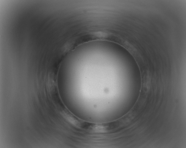 X0000083010518200702091254