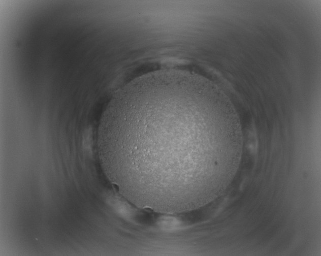 X0000083010519200702091254