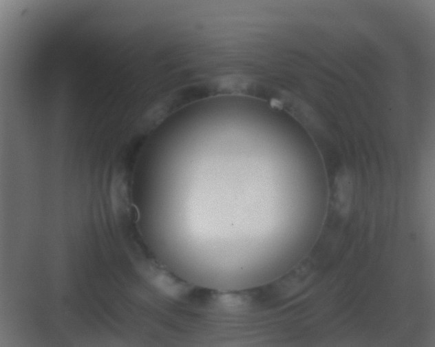 X0000083010522200702091254