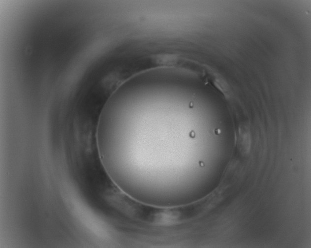 X0000083010525200702091254