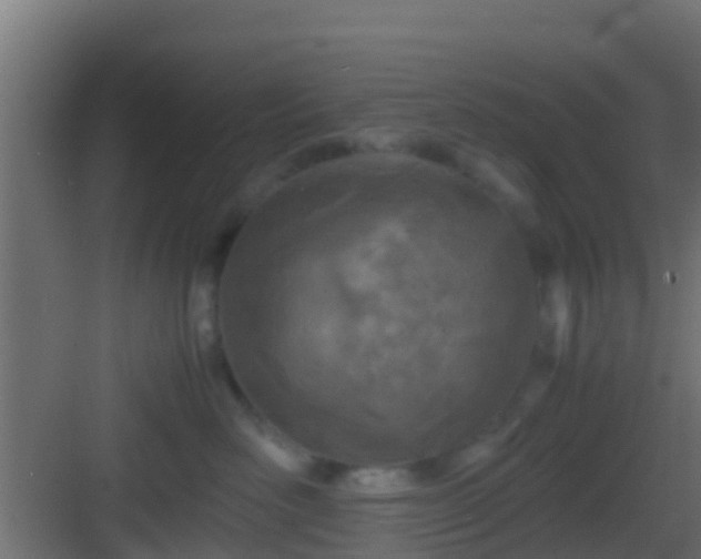 X0000083010526200702091254