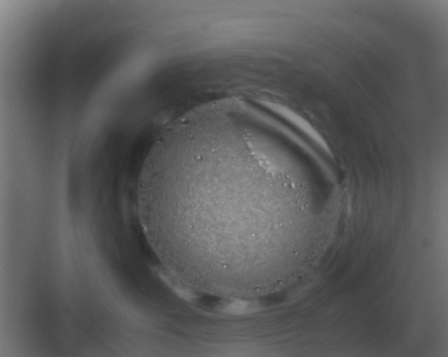 X0000083010527200702091254