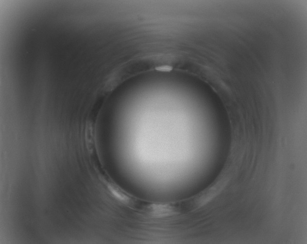 X0000083010528200702091254