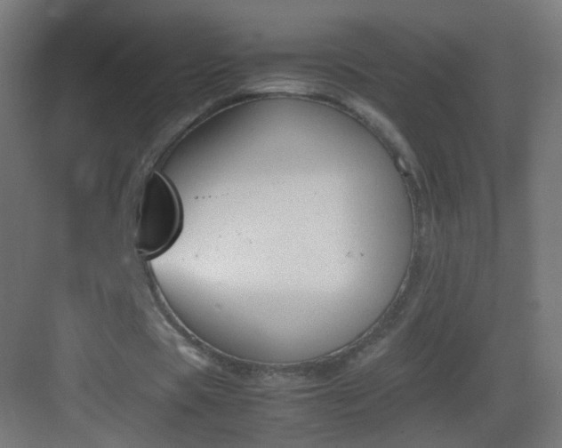 X0000083010529200702091253