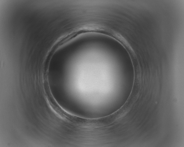 X0000083010530200702091253