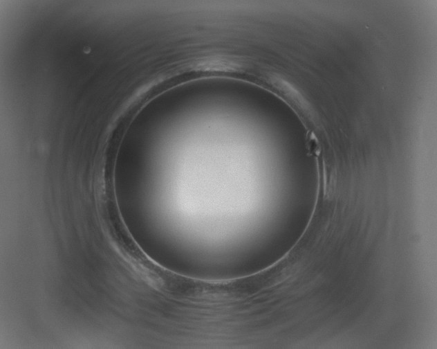 X0000083010531200702091253