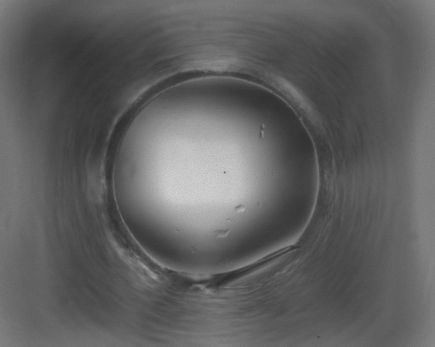 X0000083010532200702091253