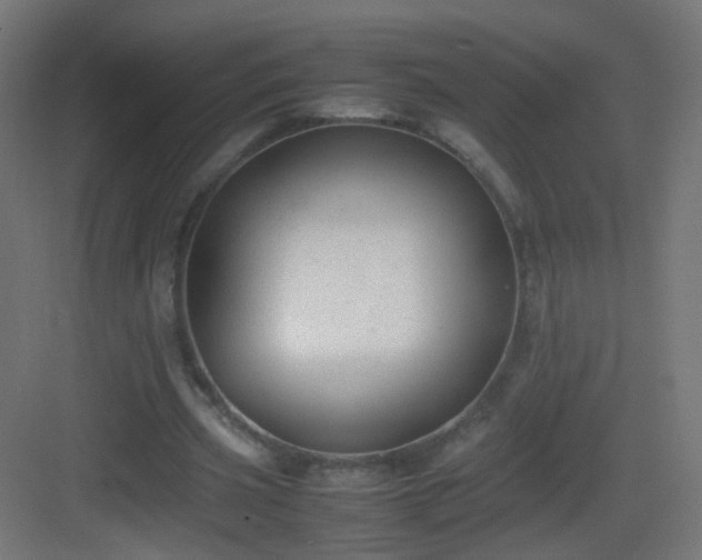 X0000083010533200702091253