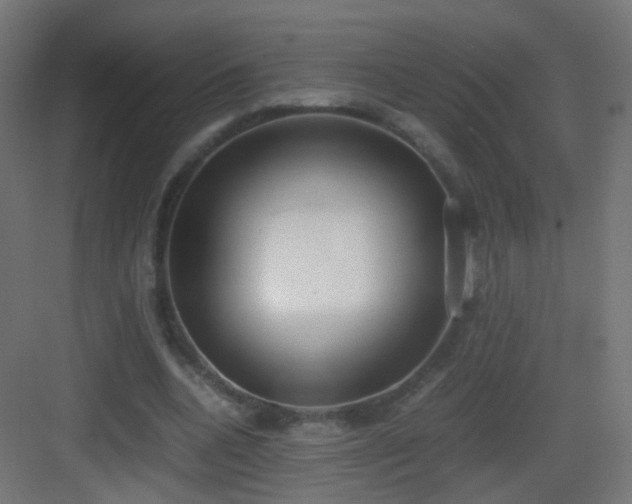 X0000083010536200702091253