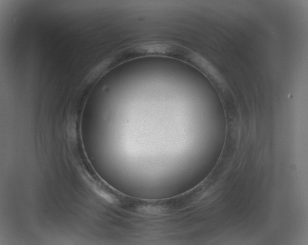 X0000083010537200702091253