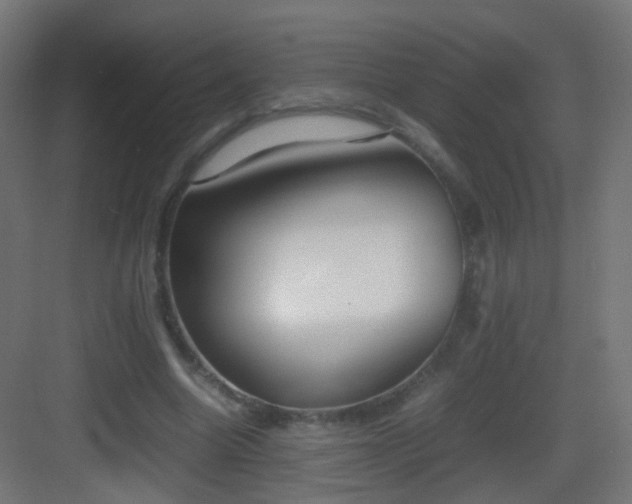 X0000083010538200702091253