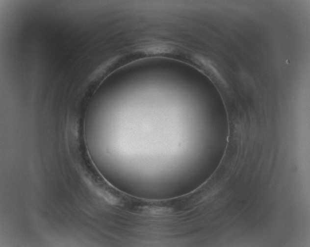 X0000083010539200702091253