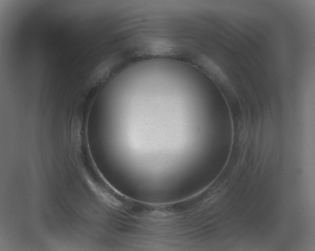 X0000083010542200702091253