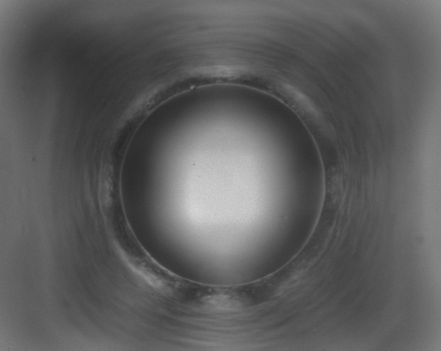 X0000083010544200702091253