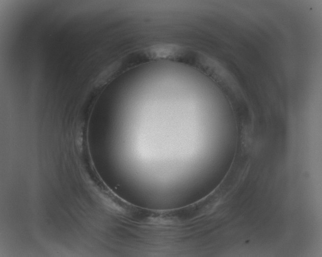 X0000083010545200702091253