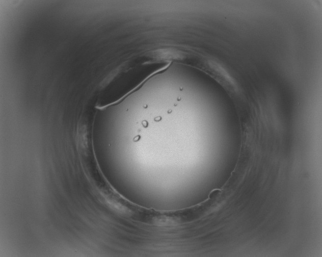 X0000083010549200702091253