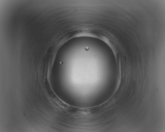 X0000083010552200702091253