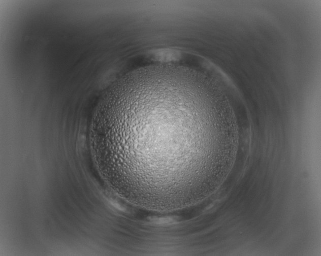 X0000083010553200702091253