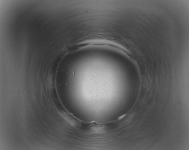 X0000083010560200702091253