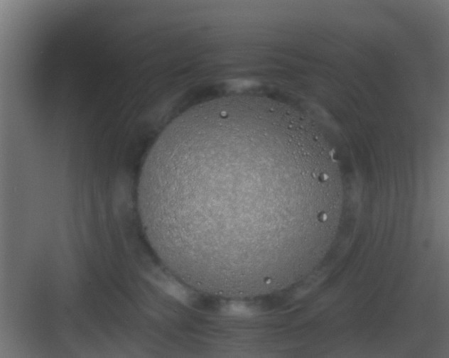 X0000083010565200702091253