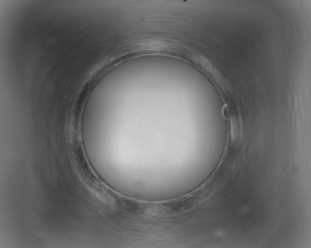 X0000083010579200702091253